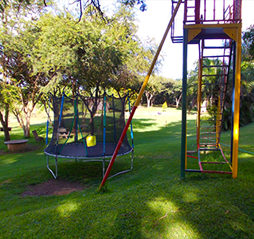 Trampoline and zipline