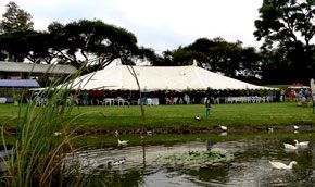 Wedding setup