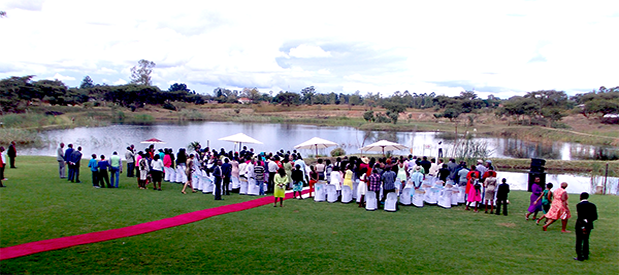 Wedding decorations